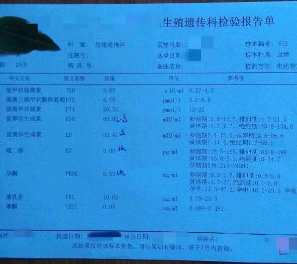 供卵试管助孕,29岁卵巢早衰患者实现生育梦