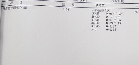 婚姻马拉松竟让不孕“打折”腿？供卵试管能否重获幸福？