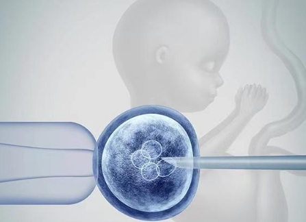 北京供卵试管婴儿医院哪家强？2025年权威指南