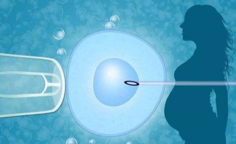 华西医院和省妇幼试管婴儿大比拼：哪家更适合你？