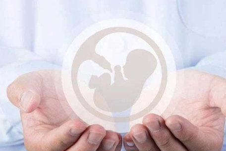 选精试管婴儿要花多少钱？2025年费用明细与选择指南