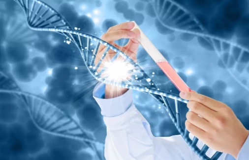 俄罗斯试管婴儿费用指南：如何在保障成功率的同时节省开支？
