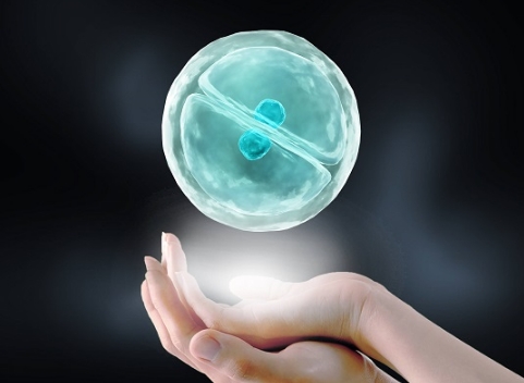 乌鲁木齐试管医院大排名：2025年技术领先与口碑最好的医院！
